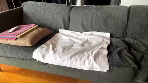 Alfredo online show from 10-07-25, 10:12