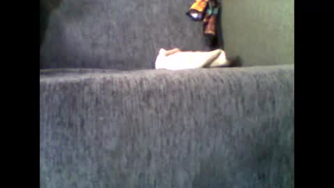 Alfredo online show from 11-10-25, 07:51