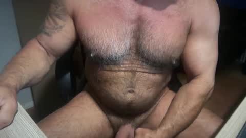 Snapshot of donk566 chatting on 02-01-26, 11:53 donk566 online show from 02-01-26, 11:53