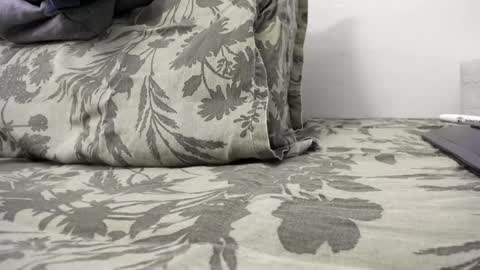 menu  below online show from 12-31-24, 02:47