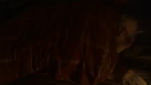 Snapshot of dorsetbiker714 chatting on 12-25-24, 09:33 Hello  welcome to Slutsville  I am the Naked Chef  really  but you may call me Peter online show from 12-25-24, 09:33