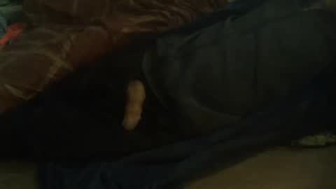 Snapshot of dorsetbiker714 chatting on 02-11-25, 10:04 Hello  welcome to Slutsville  I am the Naked Chef  really  but you may call me Peter online show from 02-11-25, 10:04