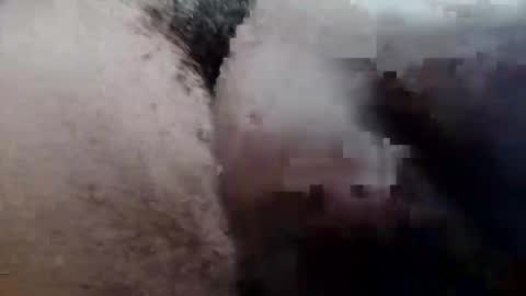 MrPirated online show from 09-29-25, 03:28