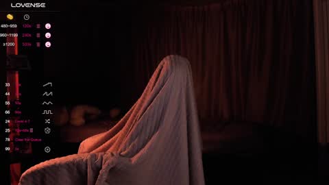 Snapshot of dreamaise chatting on 12-13-24, 01:55  Mary   pvt open    use pink and blue app lovense online show from 12-13-24, 01:55