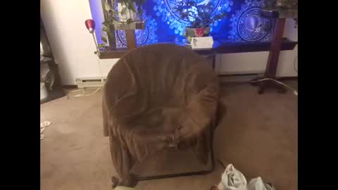 dribblez420 online show from 10-26-25, 03:12