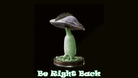 Tara  Sonny online show from 02-11-25, 03:18