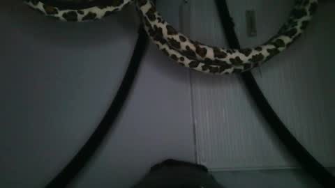 Snapshot of drolyts chatting on 02-25-26, 03:05 drolyts online show from 02-25-26, 03:05