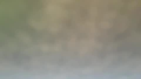 StraightStroker online show from 12-21-24, 06:55