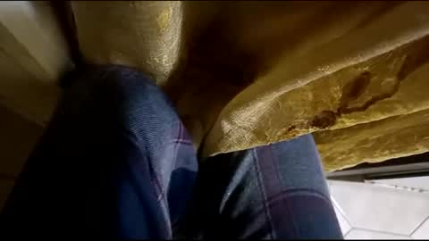 dthedog12 online show from 03-12-25, 02:09