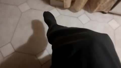 dthedog12 online show from 10-17-25, 09:17