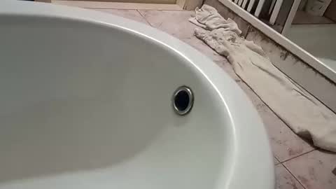 dthedog12 online show from 11-09-25, 09:46