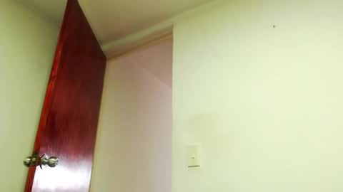 S.K..maorisa98 VIDEOS SEXHARD PPBOY 55TASTEPROTEIN online show from 02-05-26, 02:00