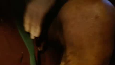 dunany101 online show from 02-26-25, 10:53