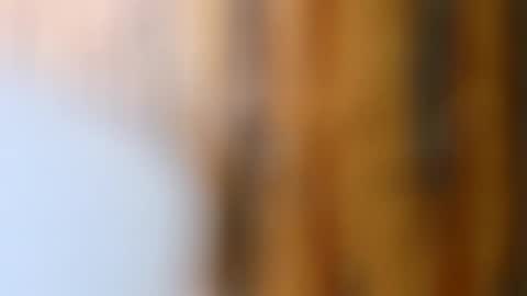 dVe1oPe online show from 10-14-25, 09:21