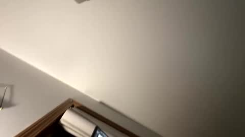 dylareus96 online show from 02-23-25, 01:13