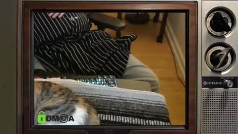 e8849c online show from 11-08-25, 11:03