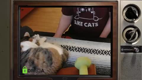 e8849c online show from 11-18-25, 05:45