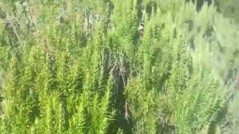 Snapshot of ebnk15 chatting on 10-21-25, 01:12 ebnk15 online show from 10-21-25, 01:12