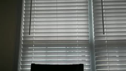 Snapshot of ebony8ivory chatting on 10-29-25, 03:03 americnbarbie online show from 10-29-25, 03:03