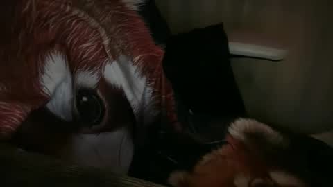 Snapshot of ebony8ivory chatting on 11-13-25, 01:04 americnbarbie online show from 11-13-25, 01:04