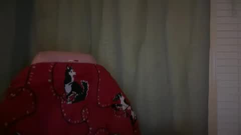 Snapshot of ebony8ivory chatting on 11-21-25, 02:21 americnbarbie online show from 11-21-25, 02:21