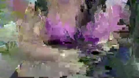 Snapshot of ebonybigtitqueen3 chatting on 11-04-25, 01:48 ebonybigtitqueen3 online show from 11-04-25, 01:48