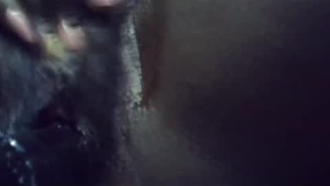 ebonykiki online show from 01-23-25, 11:36