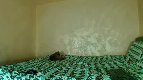 Snapshot of edavanessa7 chatting on 11-14-25, 05:55 Nomyx OF check online show from 11-14-25, 05:55