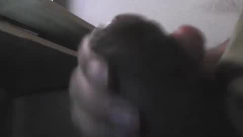 Snapshot of eddie69117 chatting on 11-05-25, 09:20 EddiesCock69 online show from 11-05-25, 09:20