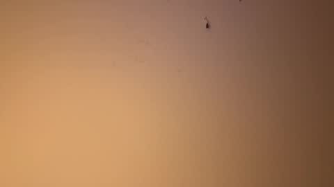 Snapshot of edgingandgooning chatting on 12-10-24, 06:17 edgingandgooning online show from 12-10-24, 06:17