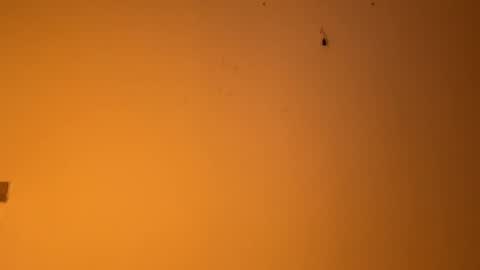 Snapshot of edgingandgooning chatting on 12-14-24, 07:57 edgingandgooning online show from 12-14-24, 07:57