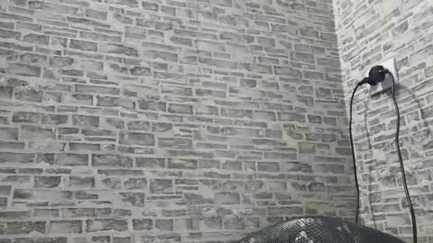 edithmanning online show from 01-18-25, 11:11