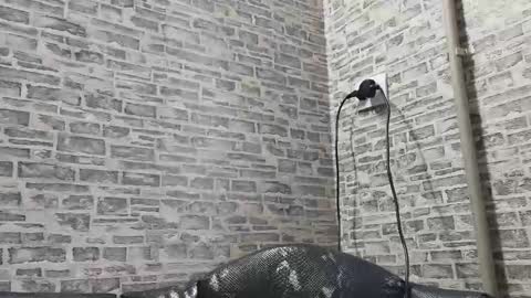 edithmanning online show from 02-10-25, 12:29