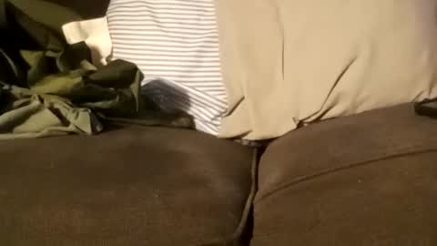 Snapshot of edmore1215 chatting on 12-11-24, 03:37 edmore1215 online show from 12-11-24, 03:37