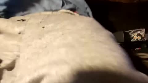 Snapshot of edmore1215 chatting on 12-18-24, 12:51 edmore1215 online show from 12-18-24, 12:51