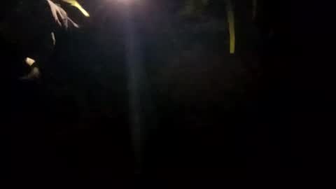 Snapshot of edmore1215 chatting on 01-14-25, 10:17 edmore1215 online show from 01-14-25, 10:17