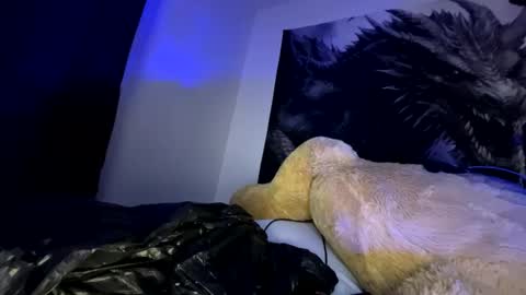 edvmendez1766 online show from 09-23-25, 10:07