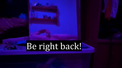 Alex online show from 02-03-26, 02:53