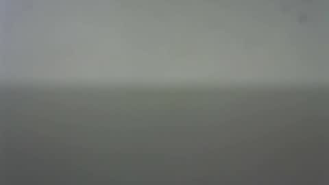 EIder online show from 02-22-26, 03:51