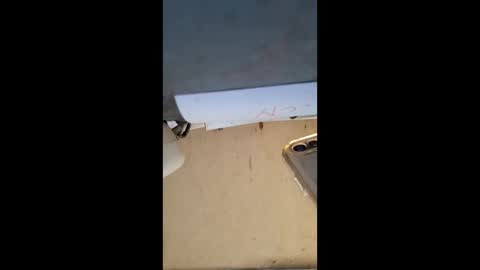 elaine33mae online show from 03-03-26, 06:41