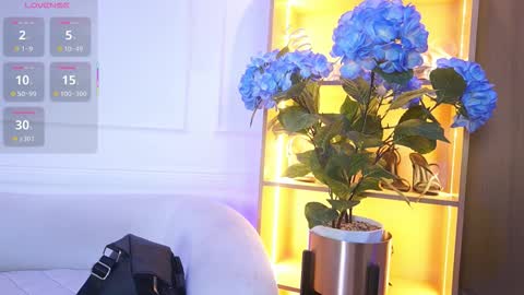 Elasummeer online show from 12-02-25, 11:48