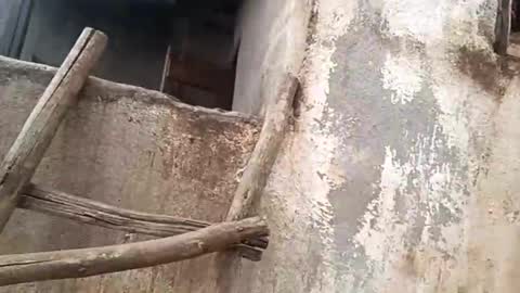 eldie69 online show from 11-29-25, 10:51