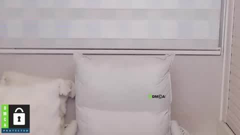 Snapshot of eleanore1 chatting on 12-15-25, 08:51 eleanore online show from 12-15-25, 08:51