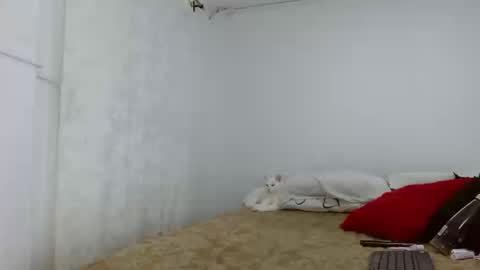 elektra online show from 09-16-25, 04:24