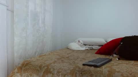 elektra online show from 10-30-25, 04:08