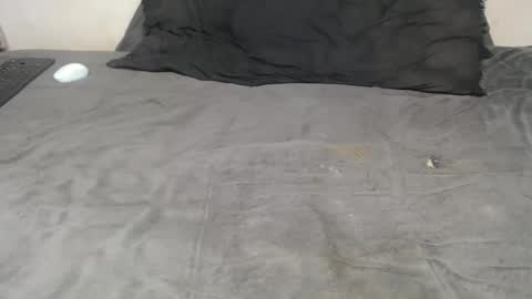 elgsslt online show from 11-18-25, 03:38