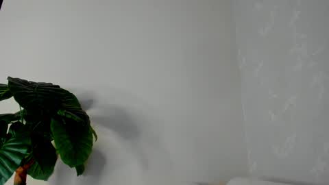 My name is ElizaPVT is open online show from 02-22-25, 11:03