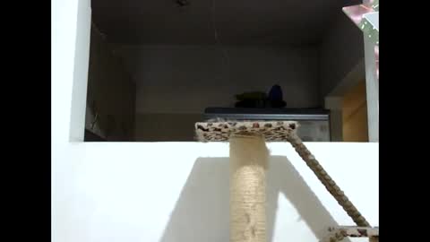 Elizabeth Martinez  online show from 01-19-25, 08:09