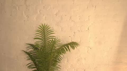 Snapshot of elliefrost chatting on 03-11-25, 12:22 elliefrost online show from 03-11-25, 12:22