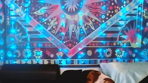 Ember Starleena online show from 02-24-25, 05:31